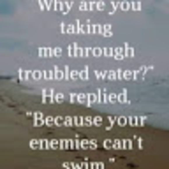 Meet your Posher, Pauline - Picture 1 of 1